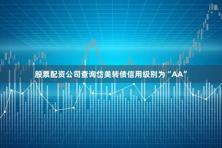 股票配资公司查询岱美转债信用级别为“AA”