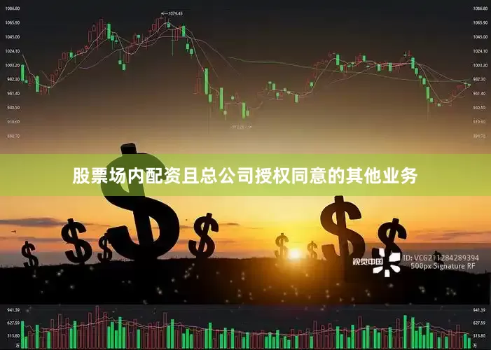 股票场内配资且总公司授权同意的其他业务