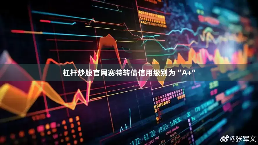 杠杆炒股官网赛特转债信用级别为“A+”
